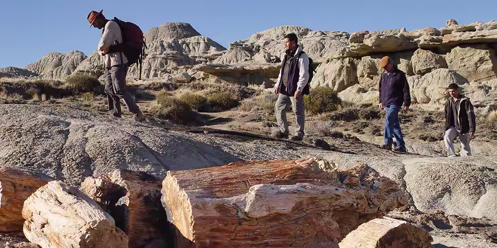 Impactante yacimiento de troncos petrificados y huesos f&oacute;siles en un paisaje erosionado por el agua y el viento.